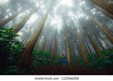 Girl Standing In The Makes' Forest In Saint Louis, Reunion Island	