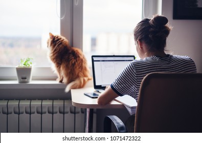 Girl student freelancer working at home on a task, the cat is sitting on the window - Shutterstock ID 1071472322