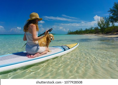 Girl in sun hat paddles with her cocker spaniel, having fun at the beach