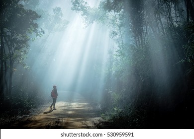Girl in sun rays coming through the trees in forest