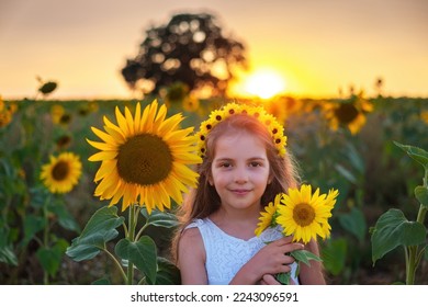Girl and sunflowers in sunflower field during sunset. Agriculture, farming, childhood and carefree concept.