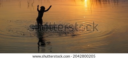 girl swimming in sunset sea. sun set sky background. baby girl dancing on the beach and playing with splashing water. hands up. circles on the water