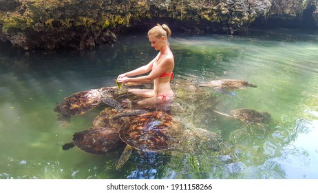 A girl swims with sea turtles. Nungwi, Zanzibar, Tanzania
