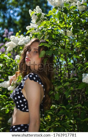 Similar – Woman posing in field of white flowers