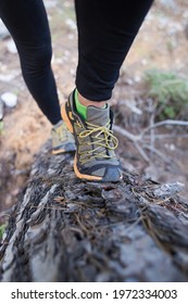 Girl Takes Part In A Hurdle Race, Hurdle Race In The Forest, Female Legs On A Fallen Tree Close-up, Female Legs In Sneakers On A Log, Running With Obstacles