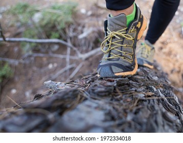 Girl Takes Part In A Hurdle Race, Hurdle Race In The Forest, Female Legs On A Fallen Tree Close-up, Female Legs In Sneakers On A Log, Running With Obstacles