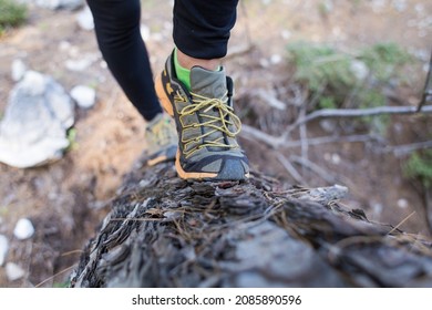 Girl Takes Part In A Hurdle Race, Hurdle Race In The Forest, Female Legs On A Fallen Tree Close-up, Female Legs In Sneakers On A Log, Running With Obstacles