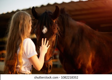 Girl taking care of her horse - Powered by Shutterstock