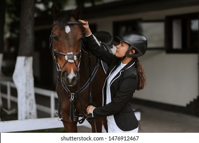 Girl taking care of her horse before horse riding. Equestrian sport. - Powered by Shutterstock