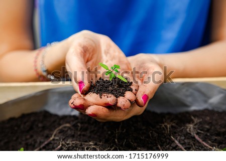 Similar – Image, Stock Photo Dirty boy hands holding small young herbal sprout plant