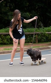 Girl teaching dog to skateboard