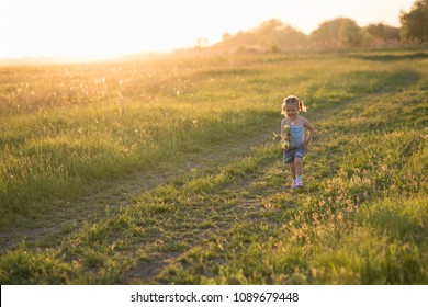 The girl is three years old, child on the field at sunset - Shutterstock ID 1089679448