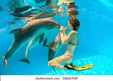 Girl touches a dolphin's nose under water