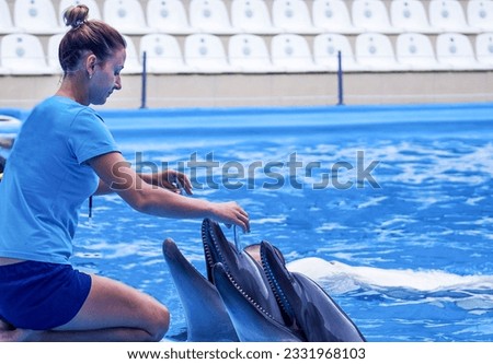 girl, trainer with  dolphins. Concept love of the person to marine animals. Harmony in the nature. Careful attitude to animals. Experts of a dolphinarium train and tame marine animals