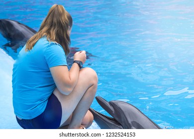 The girl the trainer works with dolphins. Experts of a dolphinarium train and tame marine animals - Shutterstock ID 1232524153
