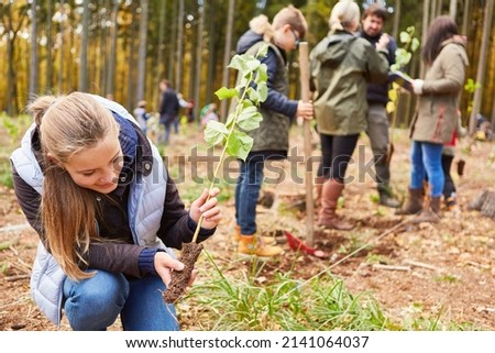 Girl with tree seedling as climate change tree for sustainable reforestation in forest
