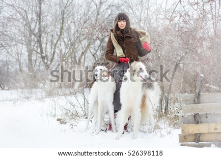 girl with two greyhounds in the winter, falling snow