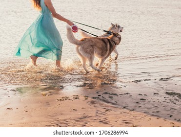 A Girl And Two Husky Dogs On A Leash Running On A Beach, Sunset Time