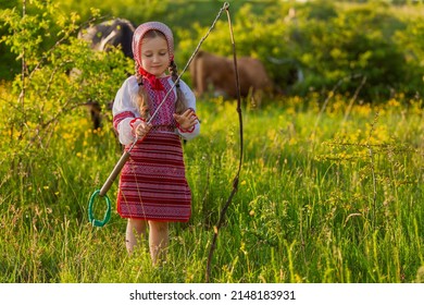girl in a Ukrainian dress grazes cows on the lawn