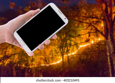 Girl use mobile phone, image of forest fire  at night as background.