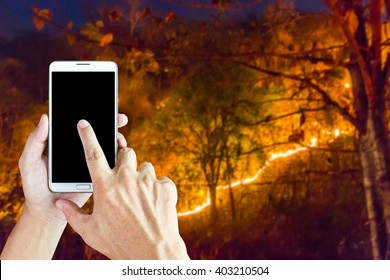 Girl use mobile phone, image of forest fire  at night as background.
