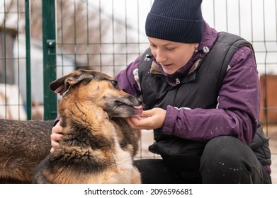 Girl volunteer in the nursery for dogs. Shelter for stray dogs. - Powered by Shutterstock