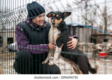 Girl volunteer in the nursery for dogs. Shelter for stray dogs. - Powered by Shutterstock