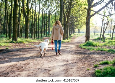 Girl Walking Dog In Park