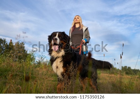 Similar – Attractive smiling blond woman with her two dogs