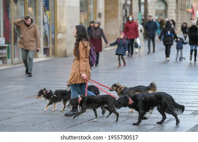 Girl Walking With Lots Of Funny Looking Dogs On Leash Trough Town Center In City Of Belgrade. Dog Walk Service. Belgrade, Serbia 24.03.2021