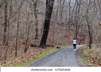 A Girl Walking On A Dirt Path In The Woods In Fick Park Located In Pittsburgh, Pennsylvania, USA In Winter Time With Bare Trees