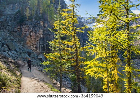 girl walking on the steep hiking trail big beehive in the national park of banff in the rocky mountains of alberta canada