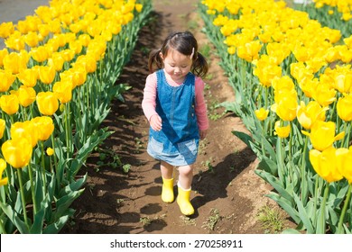 Girl walking Tulip Fields