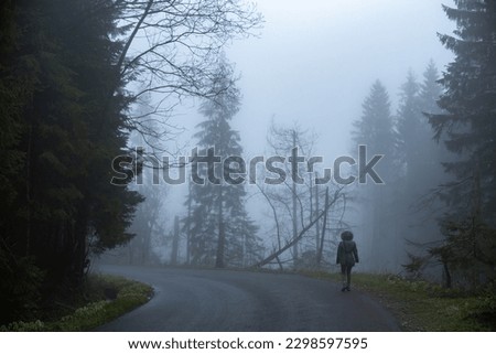 a girl walks along a forest road in thick fog