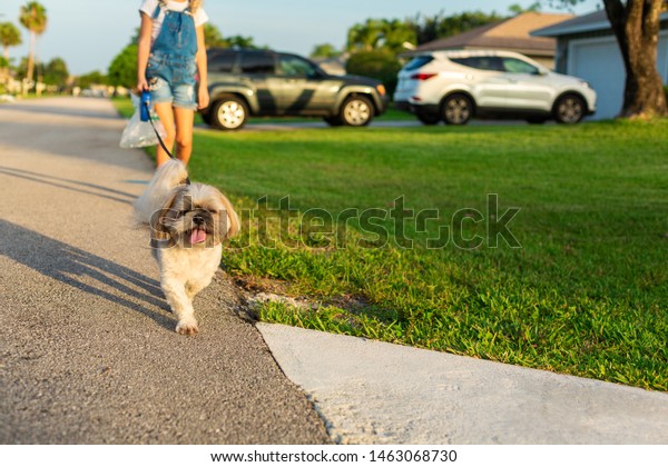  Girl walks dog  in the street at Beautiful Sunset.\
Walking with pet.  Happy kid play fun outdoor with puppy. Enjoy in\
summer day. 