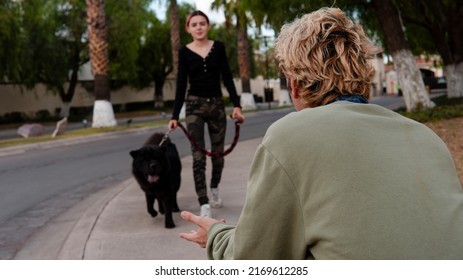 A Girl Walks Her Big Black Dog While They Get Closer To Her Couple