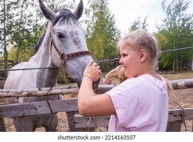 A Girl Walks With A Horse On A Warm Summer Day. 