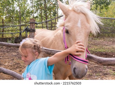  A Girl Walks With A Horse On A Warm Summer Day. 