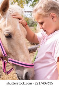 A Girl Walks With A Horse On A Warm Summer Day. 