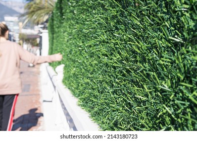 A girl walks next to a hedge and a fence close-up phot