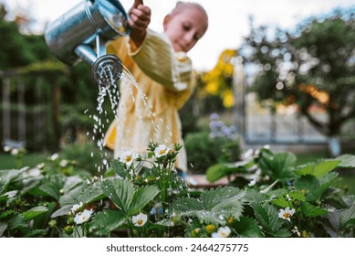 Girl watering strawberries in raised bed, holding metal watering can. Taking care of garden and planting spring flowers. - Powered by Shutterstock