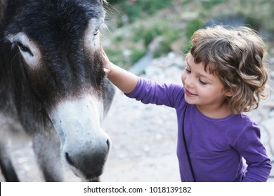 girl wearing a purple shirt smiling next to donkey in a petting zoo