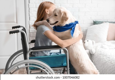 Girl In Wheelchair With Service Dog Indoors