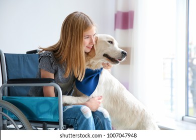 Girl In Wheelchair With Service Dog Indoors