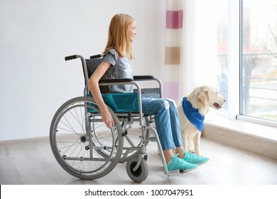 Girl in wheelchair with service dog indoors - Powered by Shutterstock