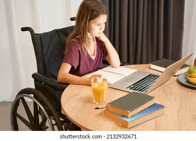 Girl In A Wheelchair Studying With A Laptop At Table