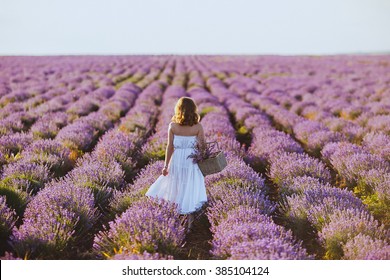 The girl in a white dress with a basket in lavender field.