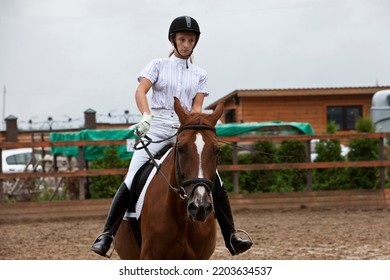 A Girl In White Equestrian Clothes And Wearing A Helmet, Riding A Brown Horse.