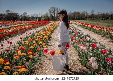 girl in white top stands in tulip field with bucket full of collected flowers