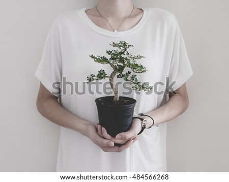 Girl in a white T-shirt holding in front of herself a green bonsai in black pot on a gray background. Minimalistic photo. Gardening. Small tree as environmental or nature concept.